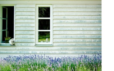 Windows: Their Importance in Accessible Homes and Good Health